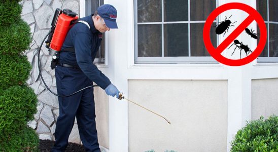 Haymana Hamam Böceği İlaçlama böcek ilaçlama ve haşere kontrolü — ilaclama-tr.com